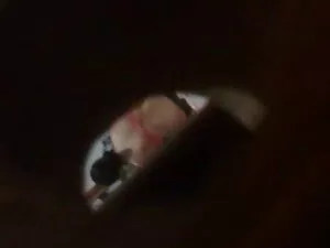 Bébiszitter brutális ...